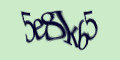 COM_SMFAQ_FORM_CAPTCHA