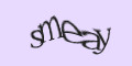 COM_SMFAQ_FORM_CAPTCHA