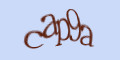 COM_SMFAQ_FORM_CAPTCHA