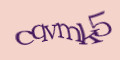 COM_SMFAQ_FORM_CAPTCHA