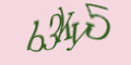 COM_SMFAQ_FORM_CAPTCHA