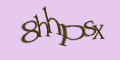 COM_SMFAQ_FORM_CAPTCHA