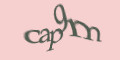 COM_SMFAQ_FORM_CAPTCHA