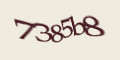 COM_SMFAQ_FORM_CAPTCHA