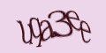 COM_SMFAQ_FORM_CAPTCHA