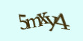 COM_SMFAQ_FORM_CAPTCHA