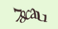 COM_SMFAQ_FORM_CAPTCHA