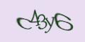 COM_SMFAQ_FORM_CAPTCHA