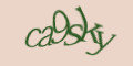 COM_SMFAQ_FORM_CAPTCHA